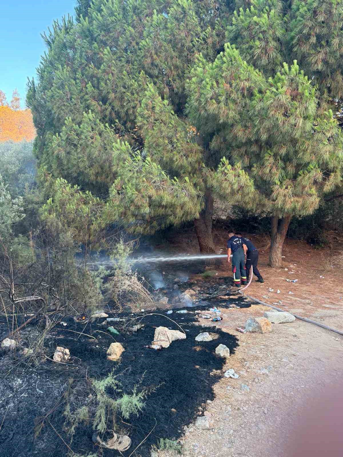 Kuşadası’nda ağaçlık alanda çıkan yangın büyümeden söndürüldü