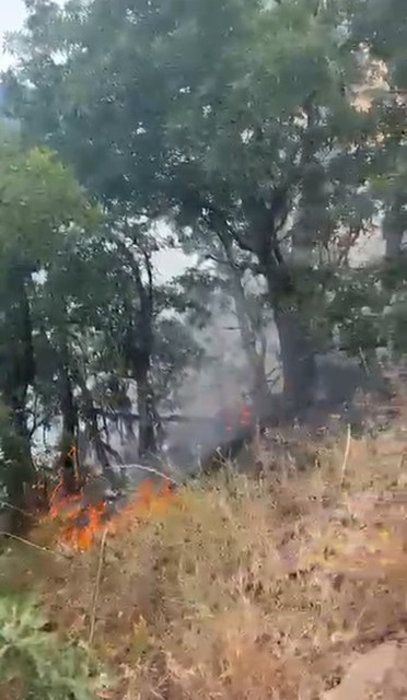 Munzur Vadisi Milli Parkı’nda örtü altı yangınına müdahale sürüyor