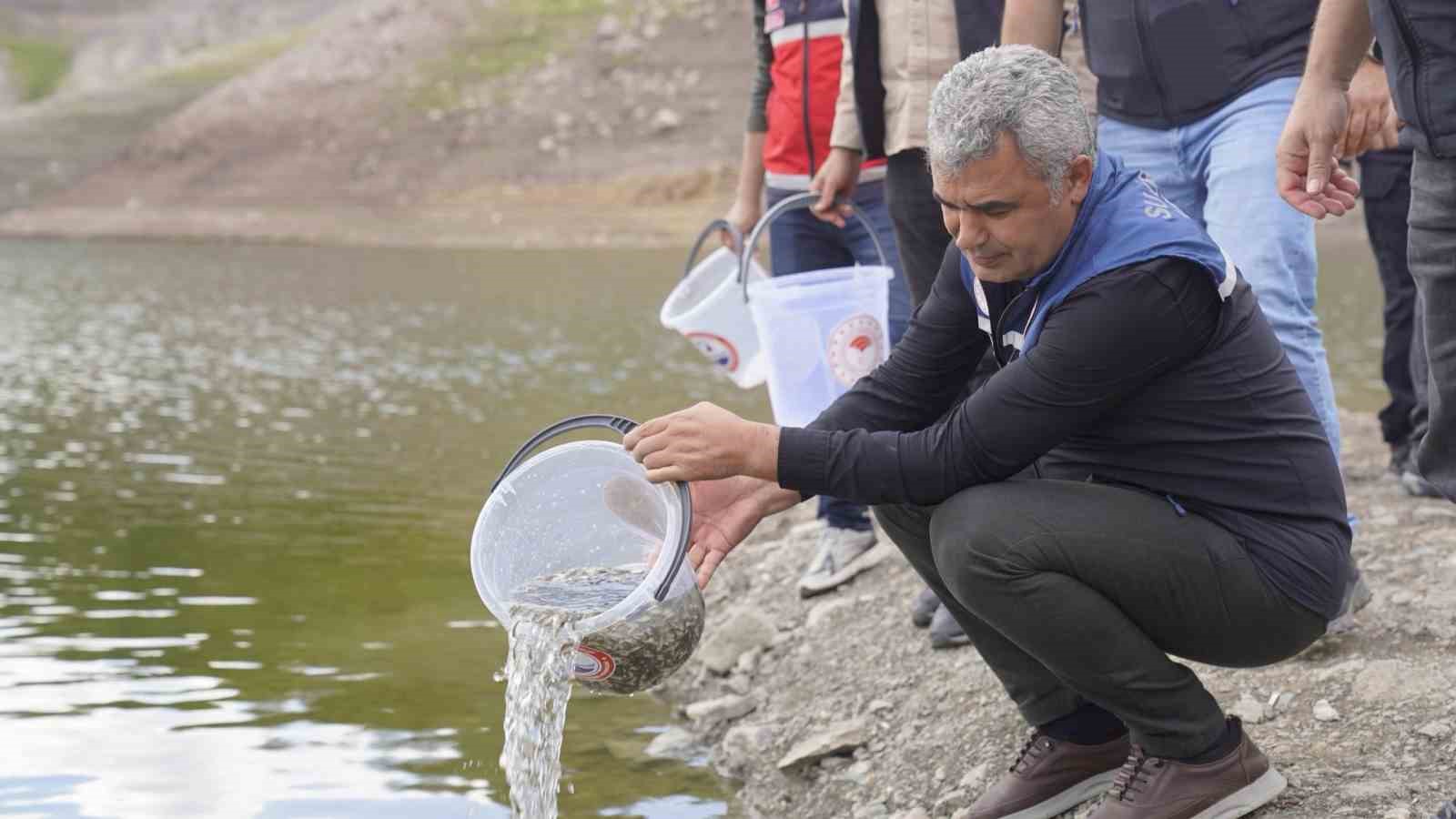 Kastamonu’da göletlere 800 bin sazan balığı yavrusu salındı