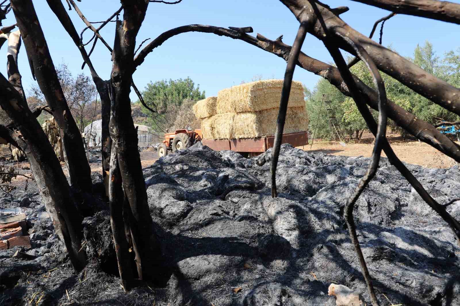 Aksu’da yangından etkilenen bölgelere saman desteği