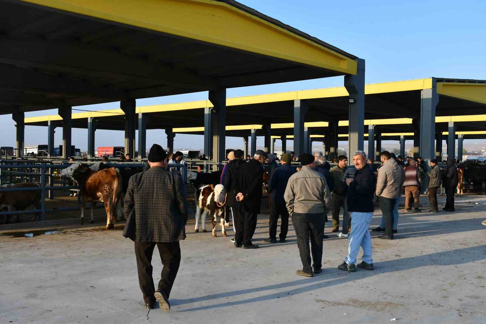 Başkan Bağlamış: "Kayseri artık tarım ve hayvancılığın öncü şehridir"
