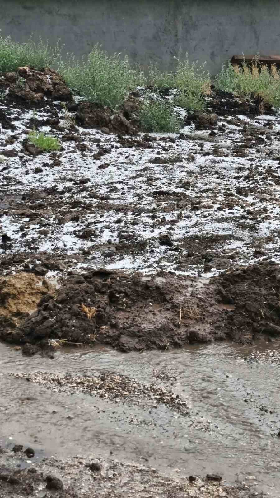 Edirne’de dolu yağışı etkili oldu
