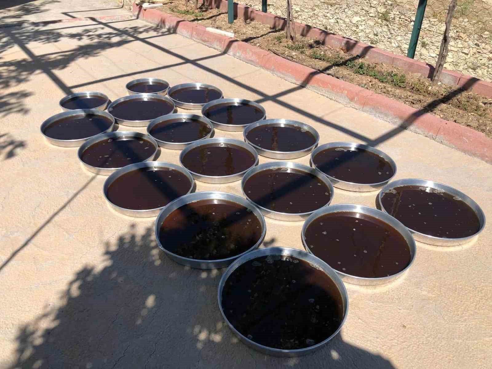 85 yaşındaki çift, geleneksel yöntemlerle dut pekmezi üretimini sürdürüyor