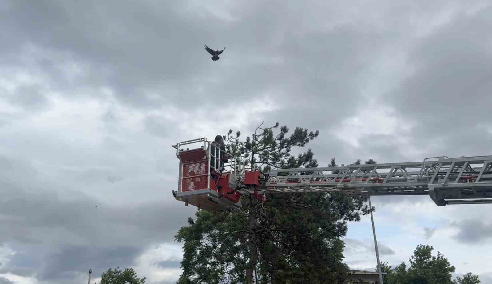 Karga kurtarılırken arkadaşları adeta kuşatma yaptı, saldırgan davranışlar sergiledi