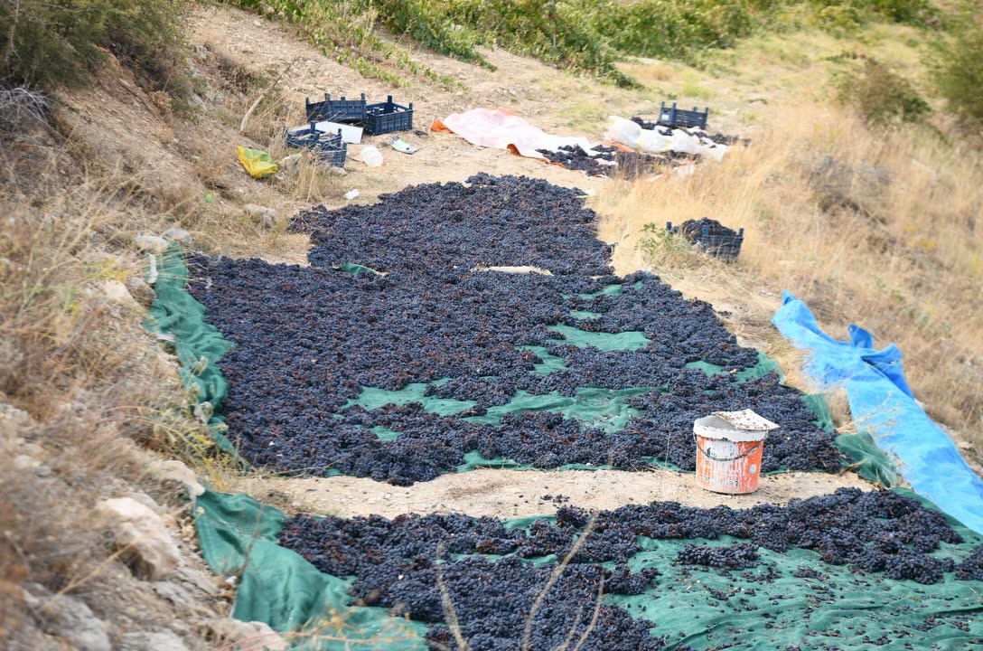 Yeşilyurt’un Değerleri" Projesinin son durağı Banazı oldu