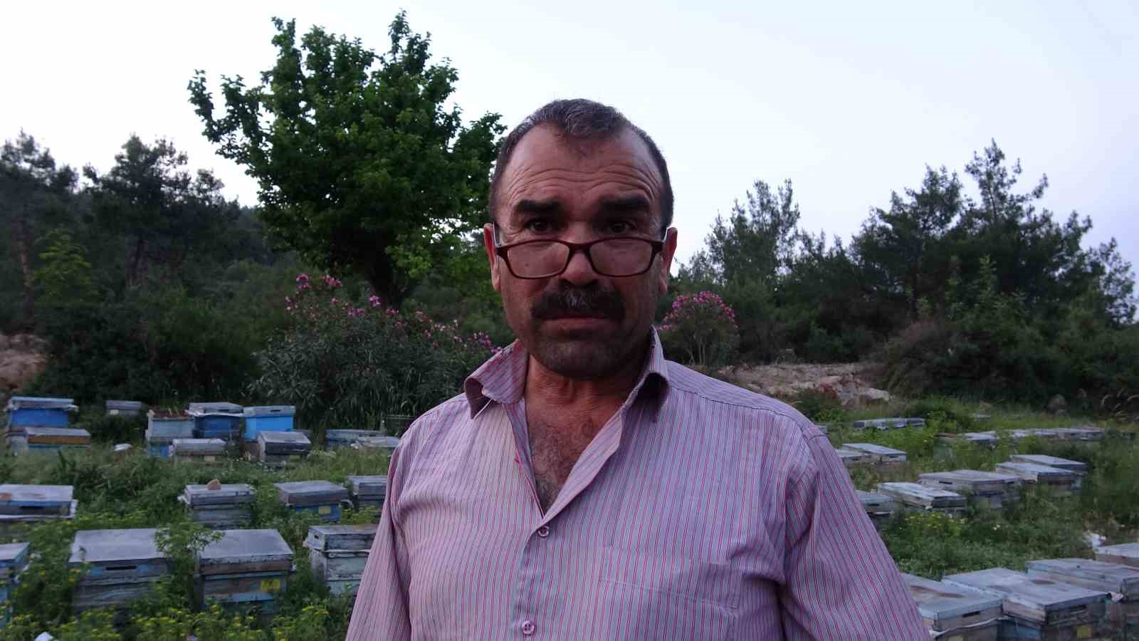 Keven ve kekik balı için yayla yolculuğu başladı
