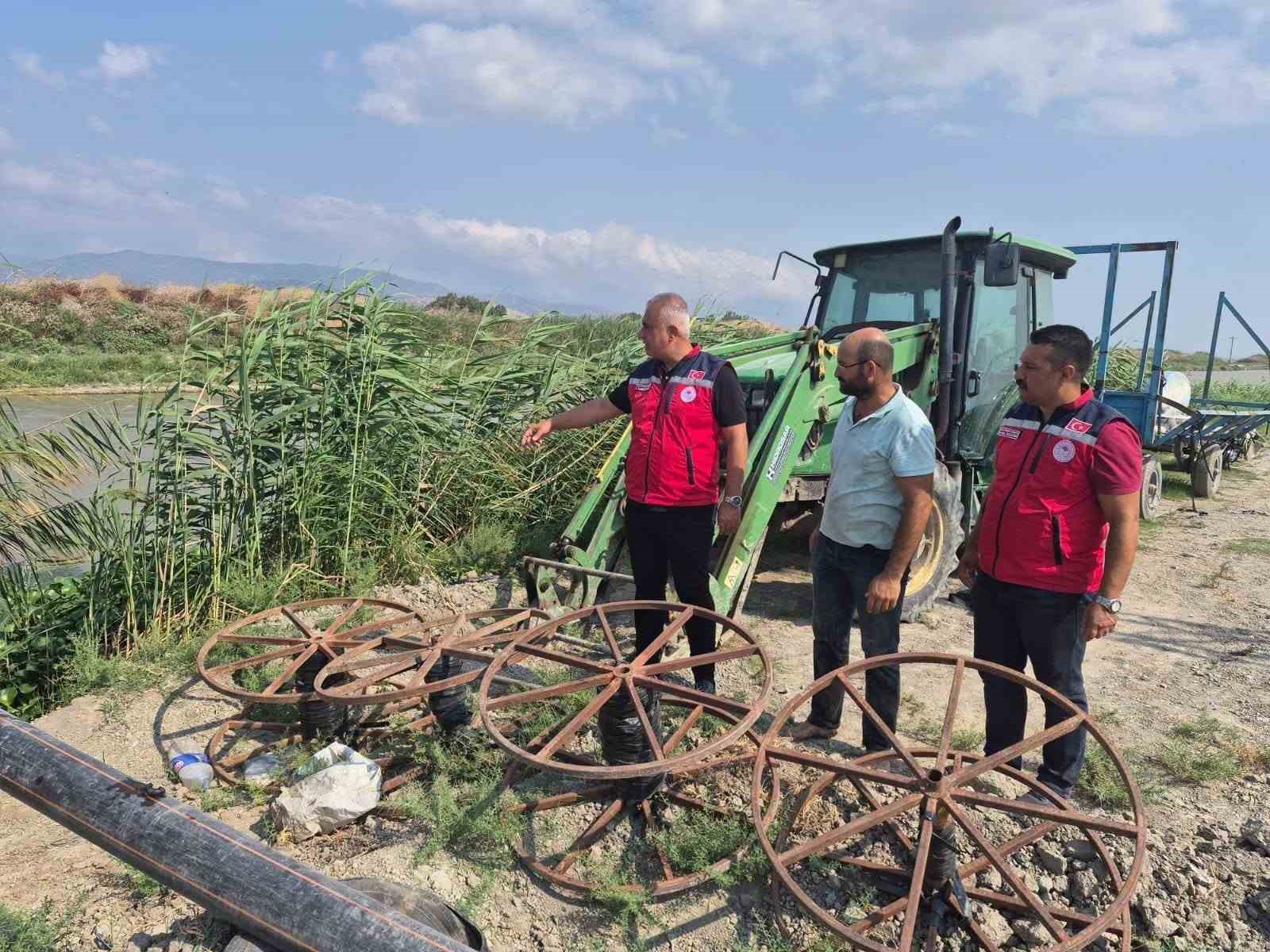Antakya’da mısır hasadı devam ediyor
