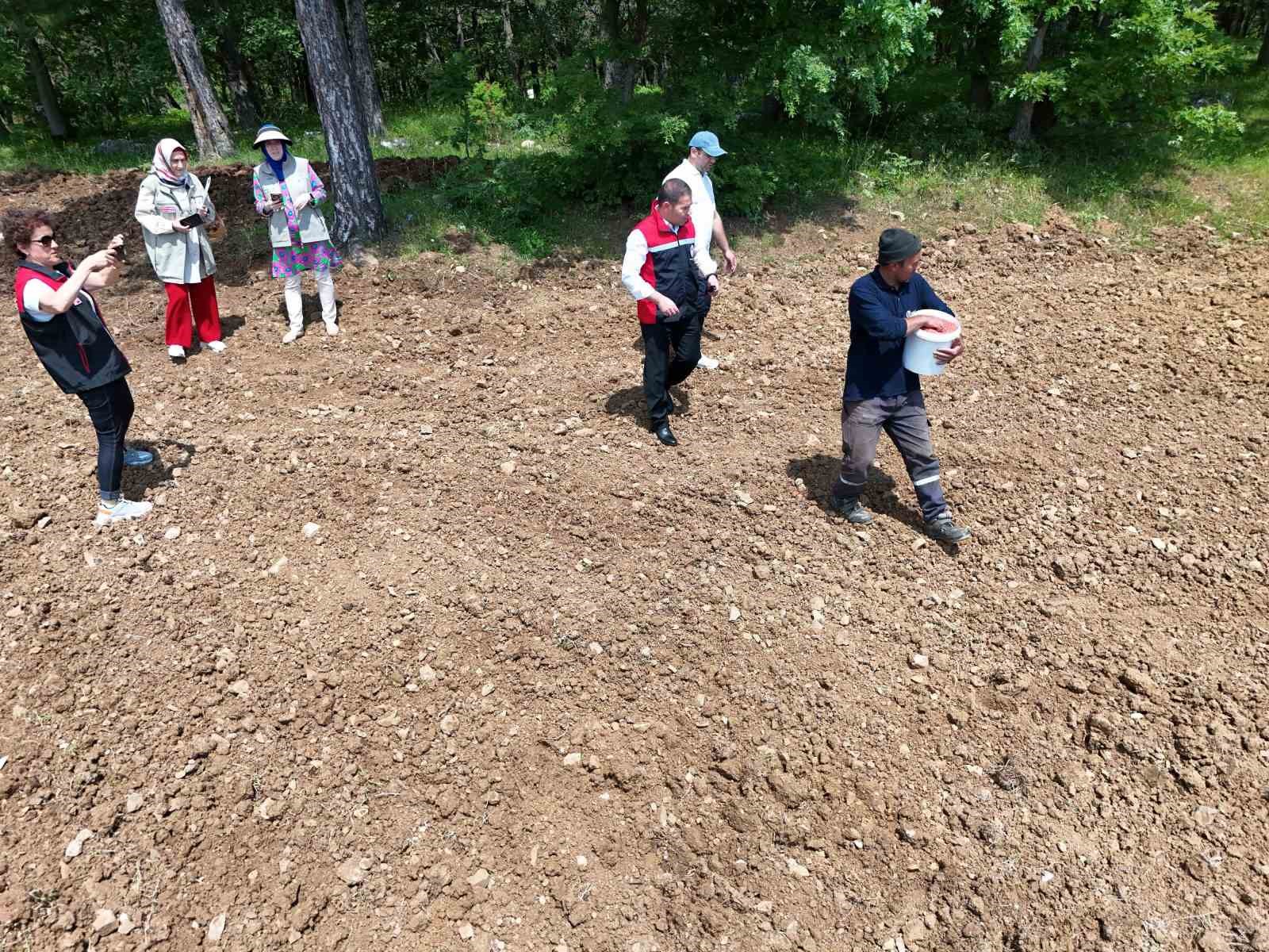 "TAKE" projesiyle tarım arazileri boş kalmayacak