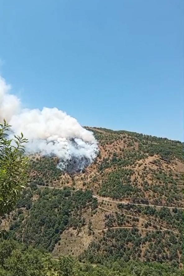 Sultanhisar’da makilik ve orman yangını