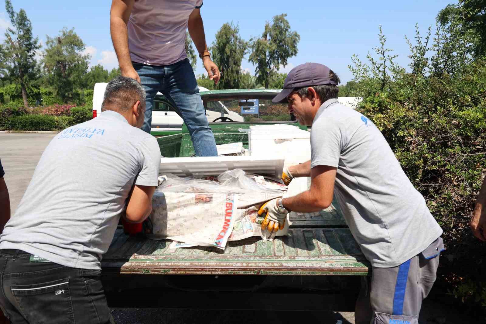 Antalya Otogarı’nda balık operasyonu: 260 kilo ele geçirildi