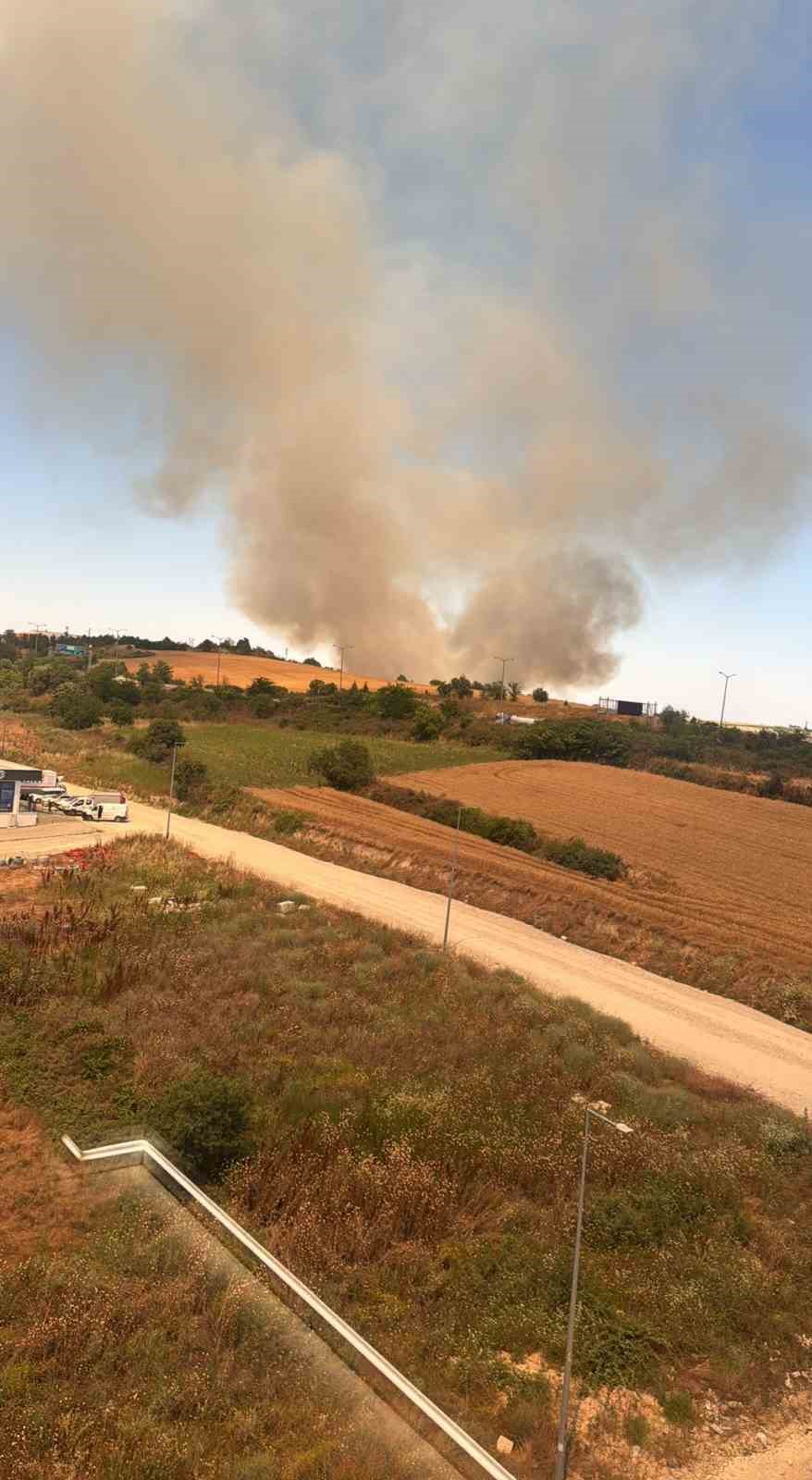 Edirne’de buğday tarlasında çıkan yangın söndürüldü