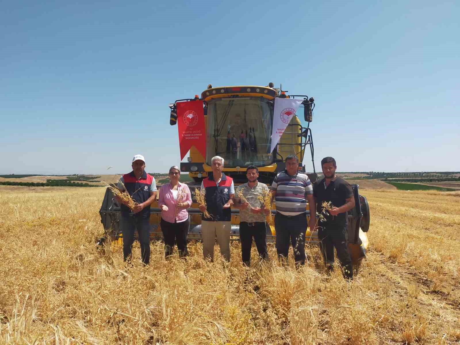 Malatya’da 500 ton nohut rekoltesi bekleniyor