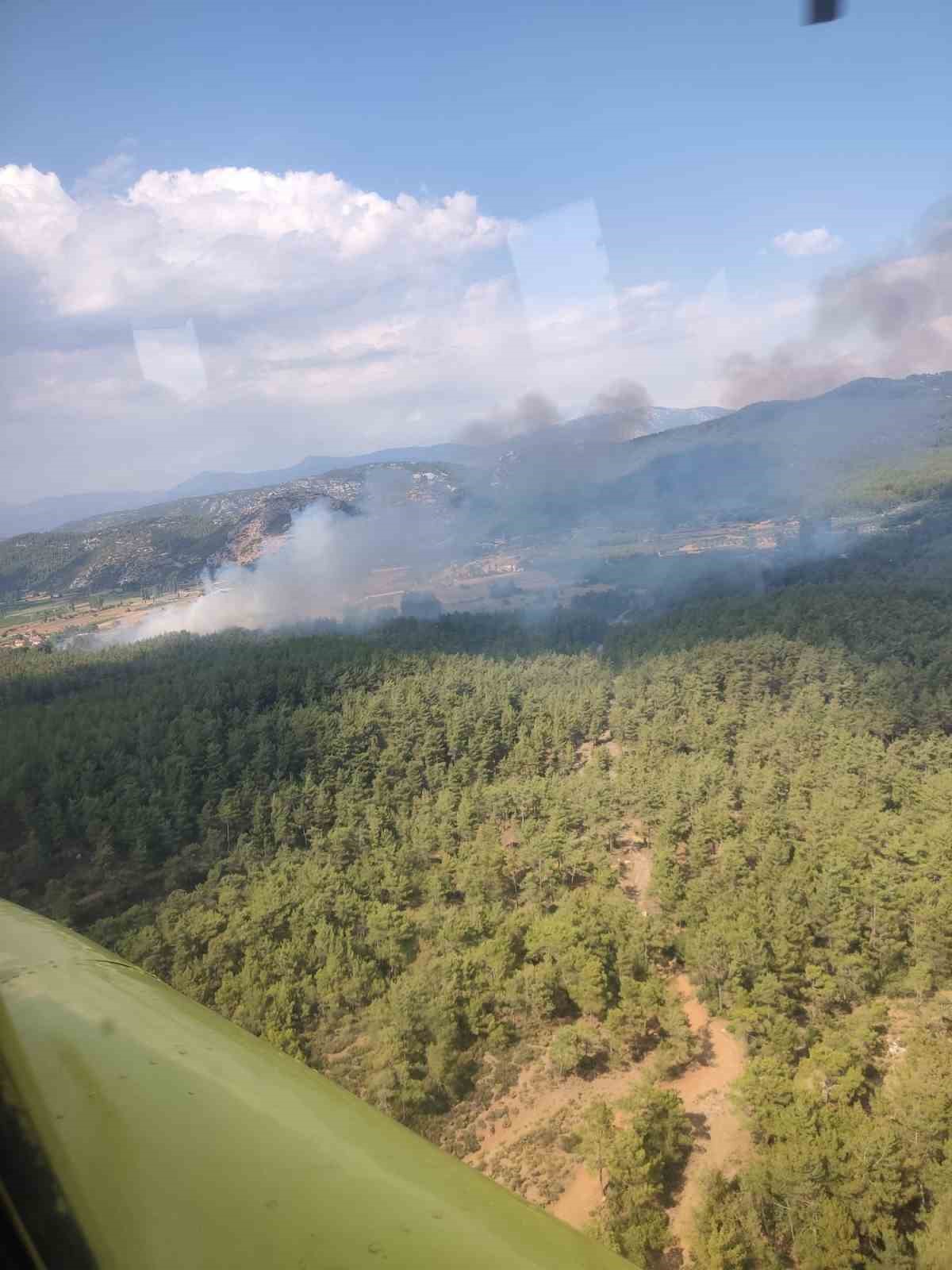 Muğla Menteşe’de orman yangını