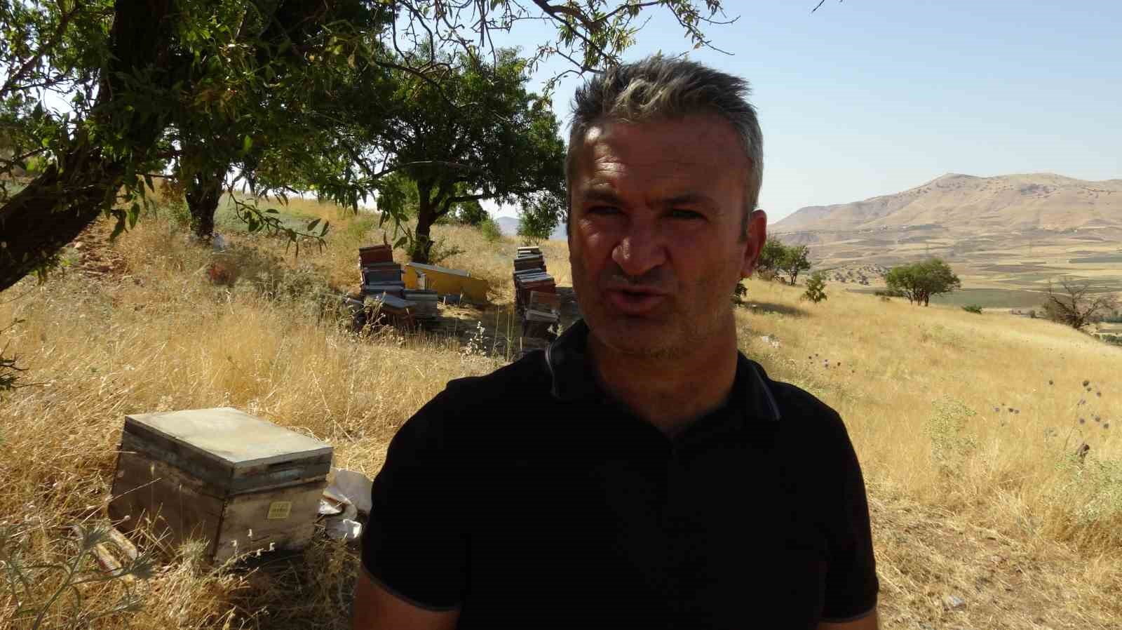 Gerc&uuml;ş&rsquo;te bal hasadı heyecanı: &Uuml;reticinin y&uuml;z&uuml; g&uuml;l&uuml;yor