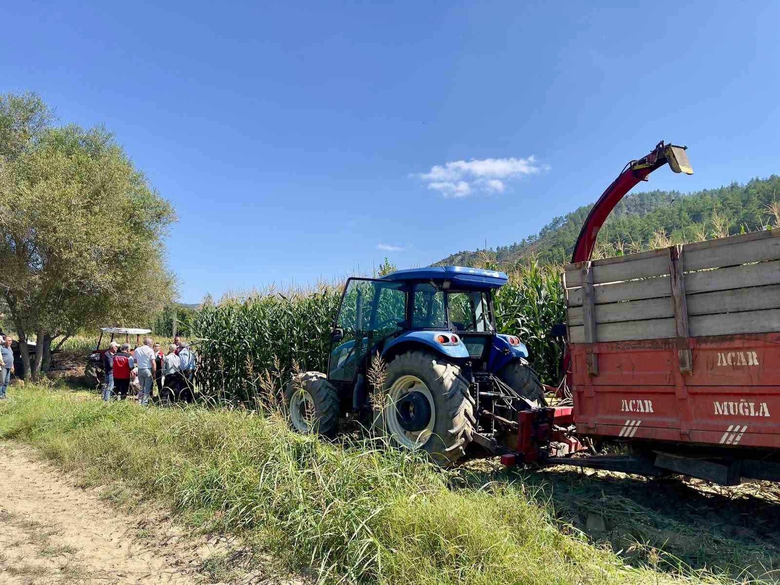 Menteşe&rsquo;de &uuml;reticilere silajlık mısır eğitimi verildi
