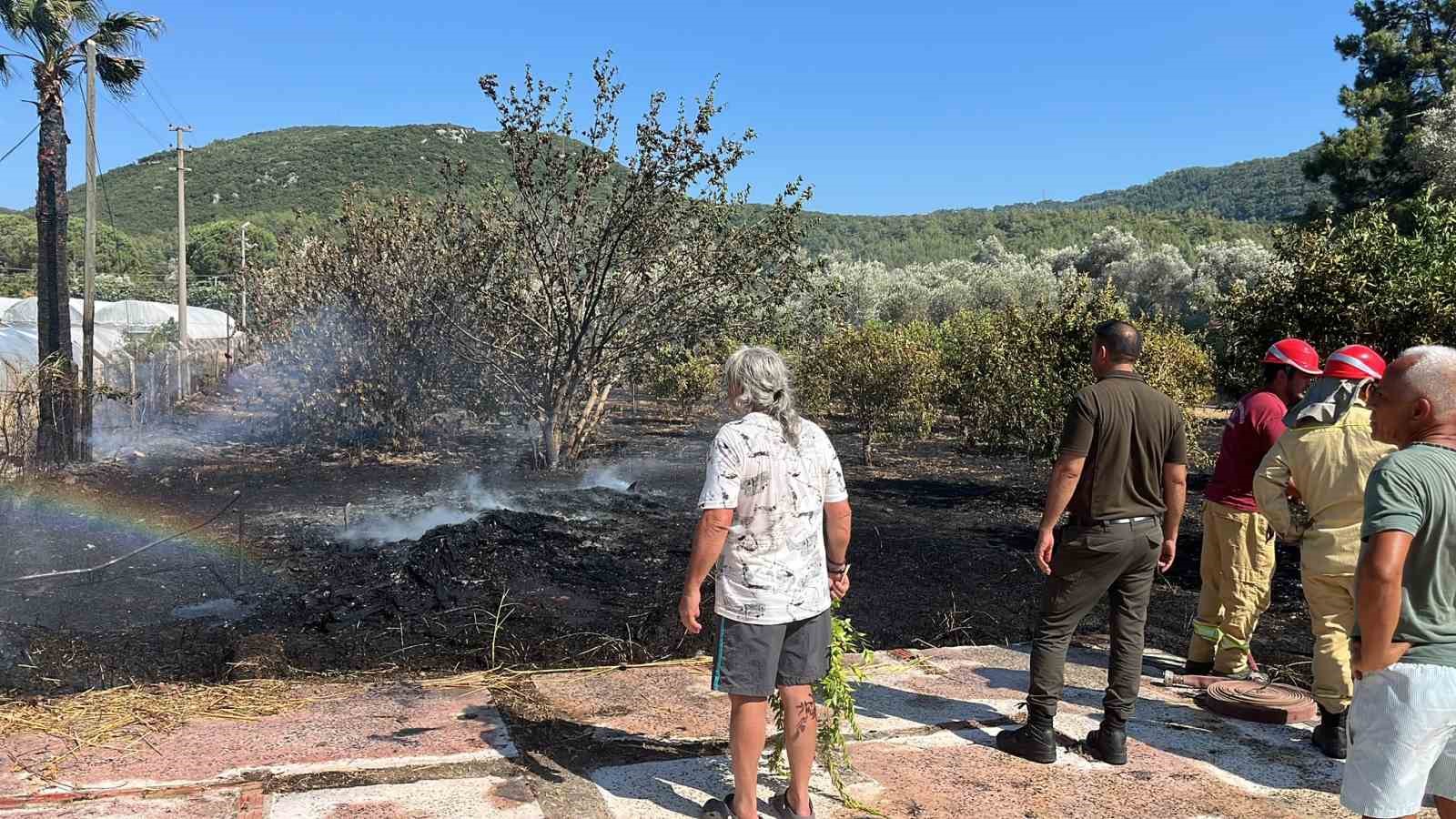Marmaris&rsquo;te zirai alan yangını kontrol altında
