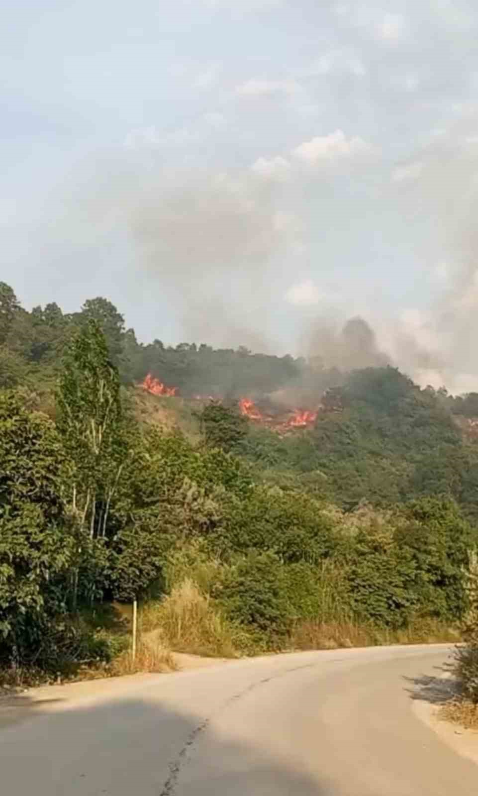 Bursa’da makilik alanda yangın