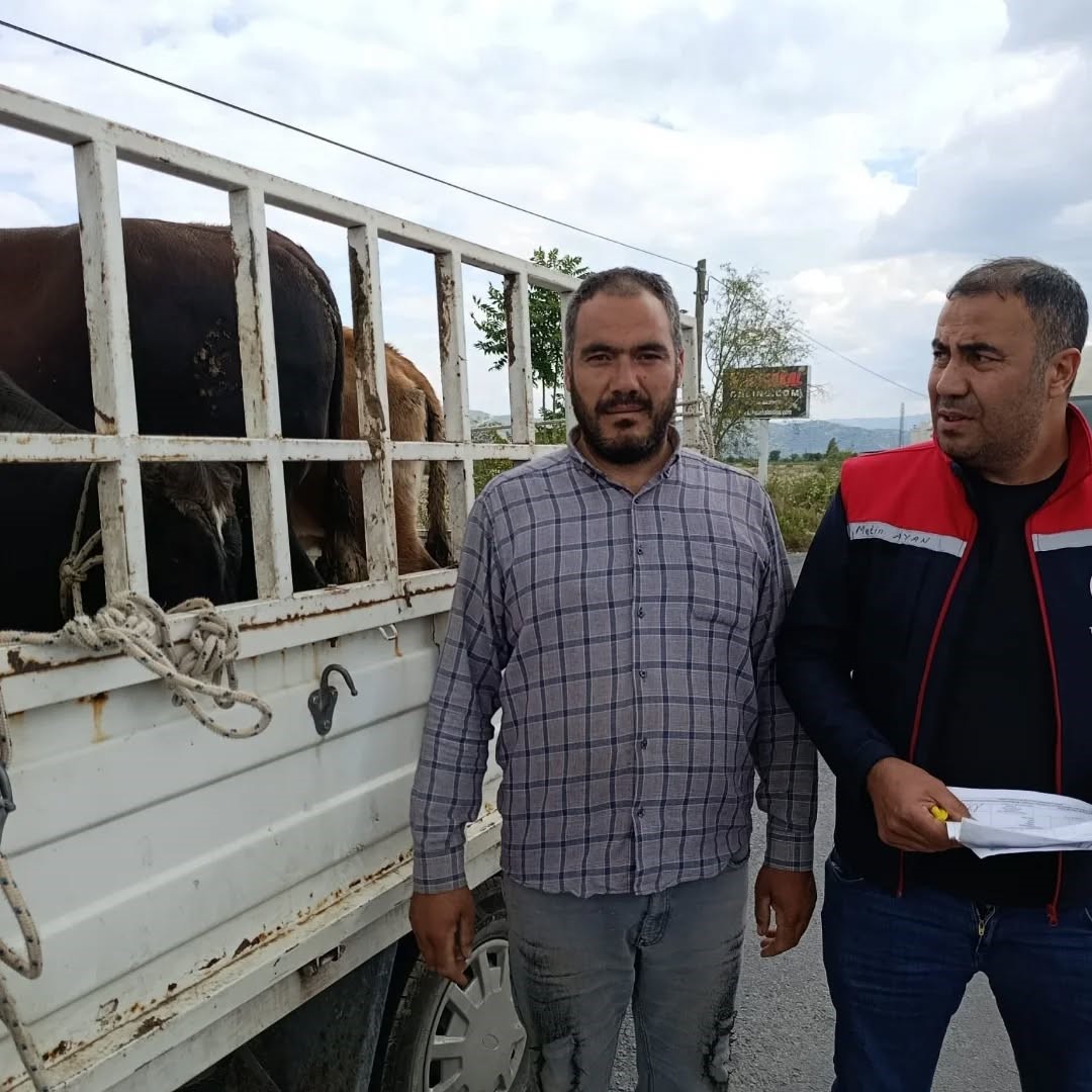 Aydın&rsquo;da kurbanlık nakil yol kontrolleri yapıldı