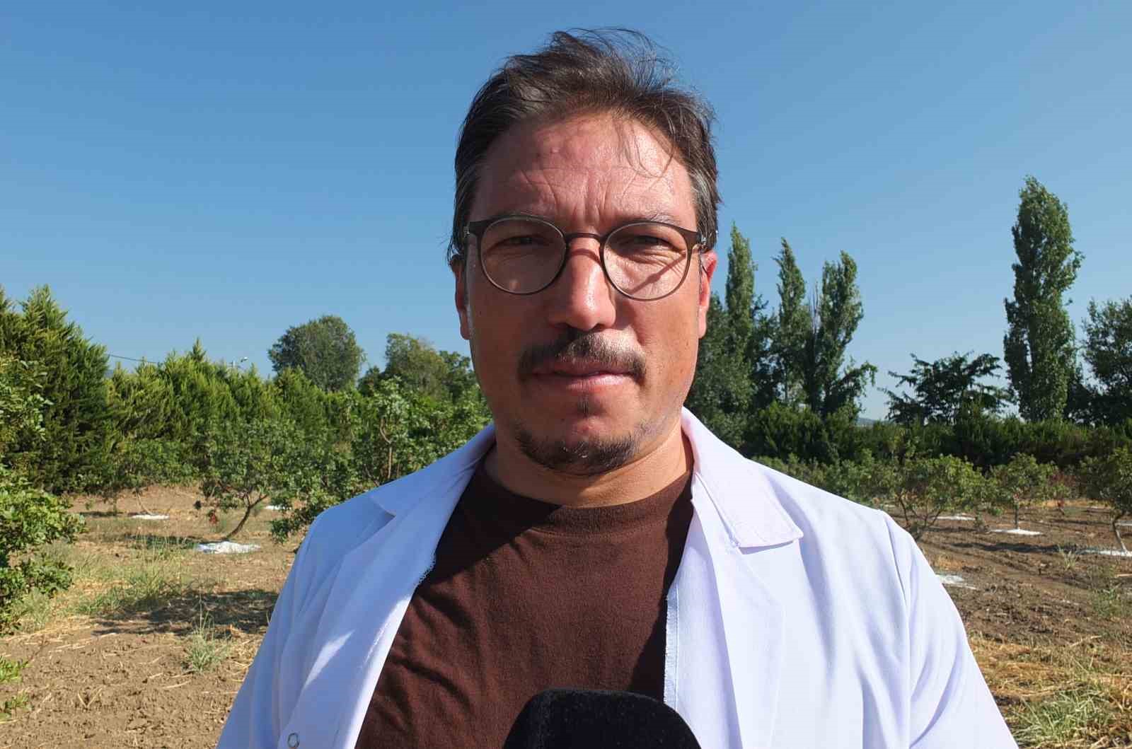 Balıkesir’de sakız hasadına başlandı