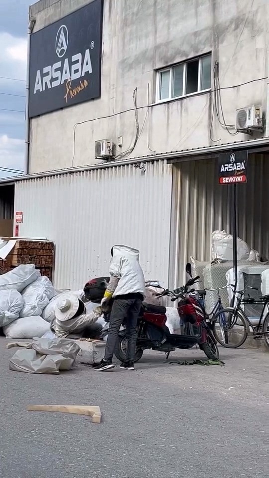 Arılar motosiklette oğul verdi