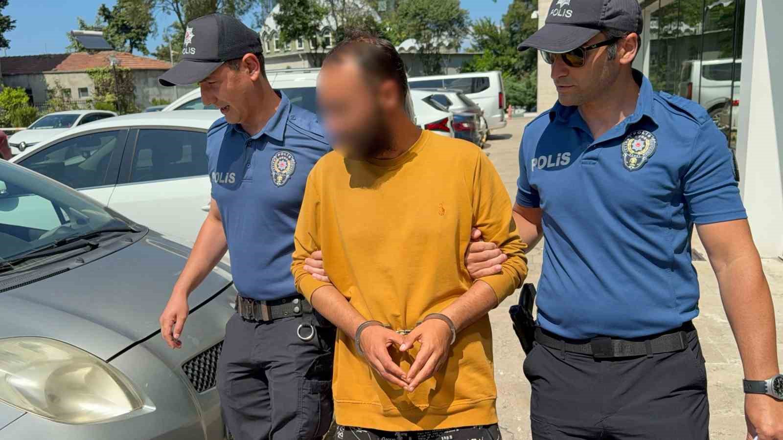 Kediye tekme atan şahıs tutuklandı: "Sinirliydim, pişmanım"