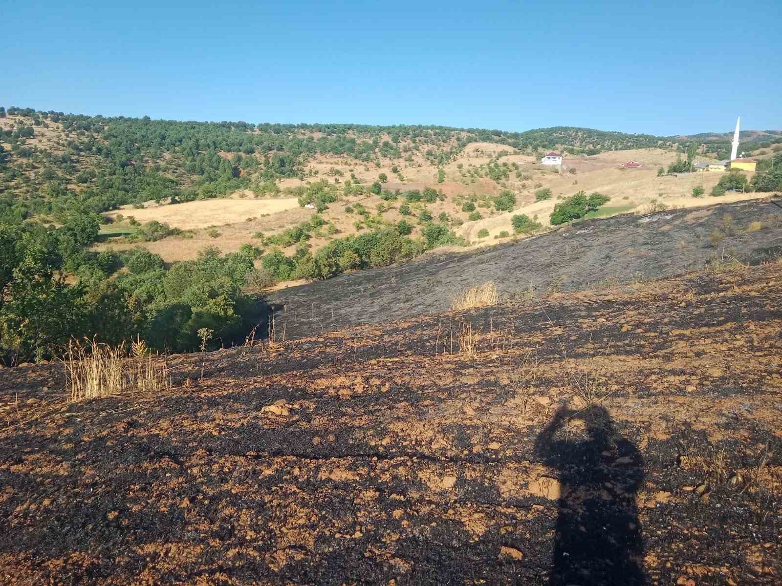 Pütürge’de çıkan yangında 2 ev ile 20 dönümlük alan zarar gördü