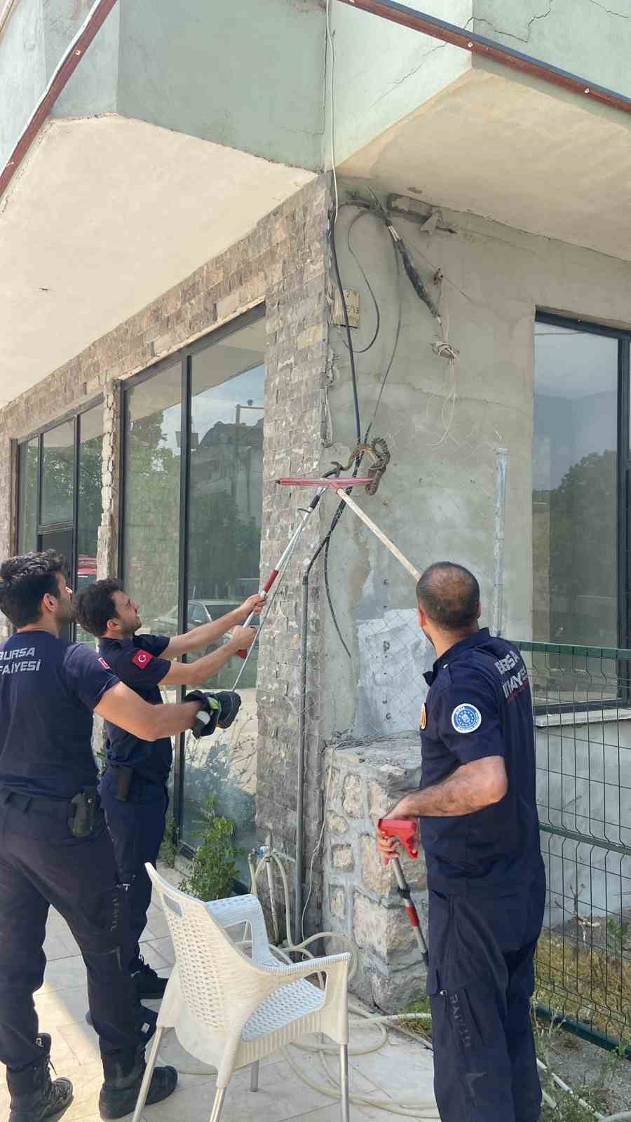 Bursa’da iş yerine giren yılan paniğe neden oldu