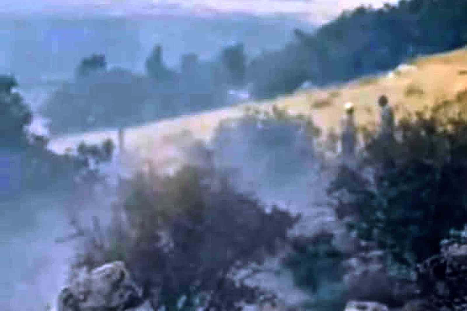 Araban’da fıstıklık ve otluk alanda yangın