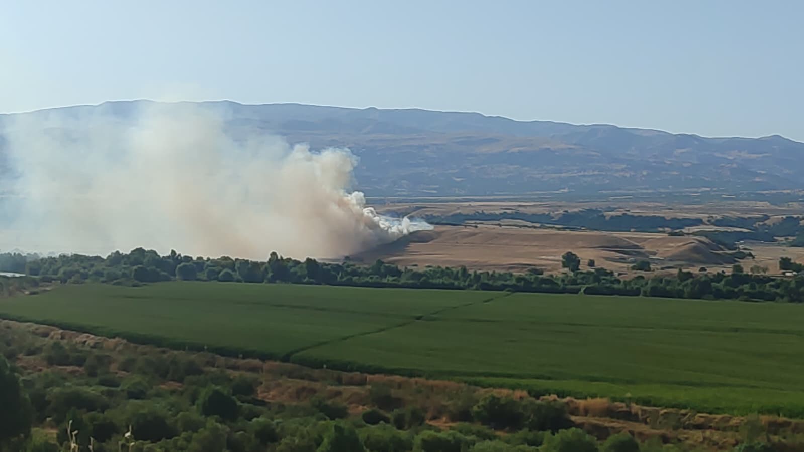 Bingöl’de çıkan arazi yangını söndürüldü