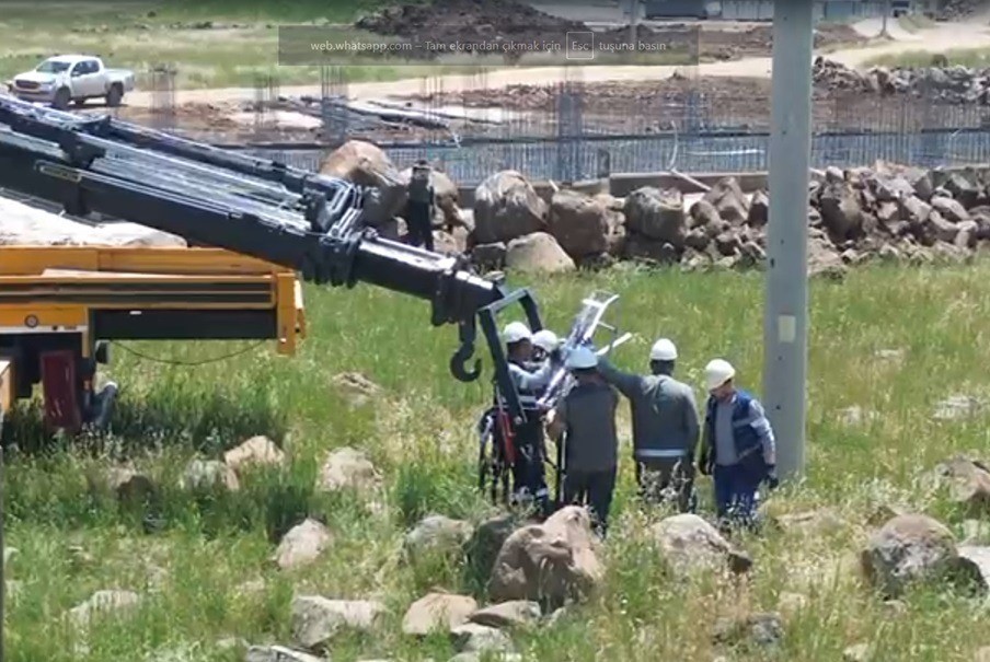 Doğal yaşama enerji veren proje: Göçmen kuşlar Dicle Elektrik ile güvende
