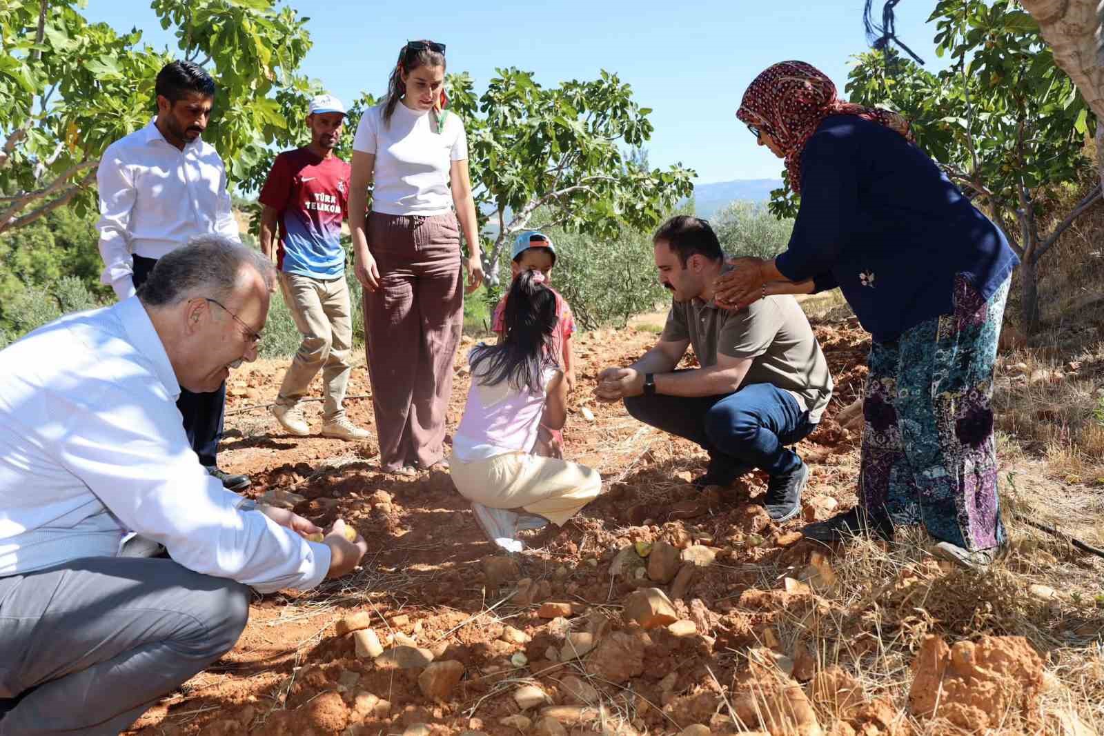 Kaymakam Battal, incir hasadında &uuml;reticilerle bir araya geldi