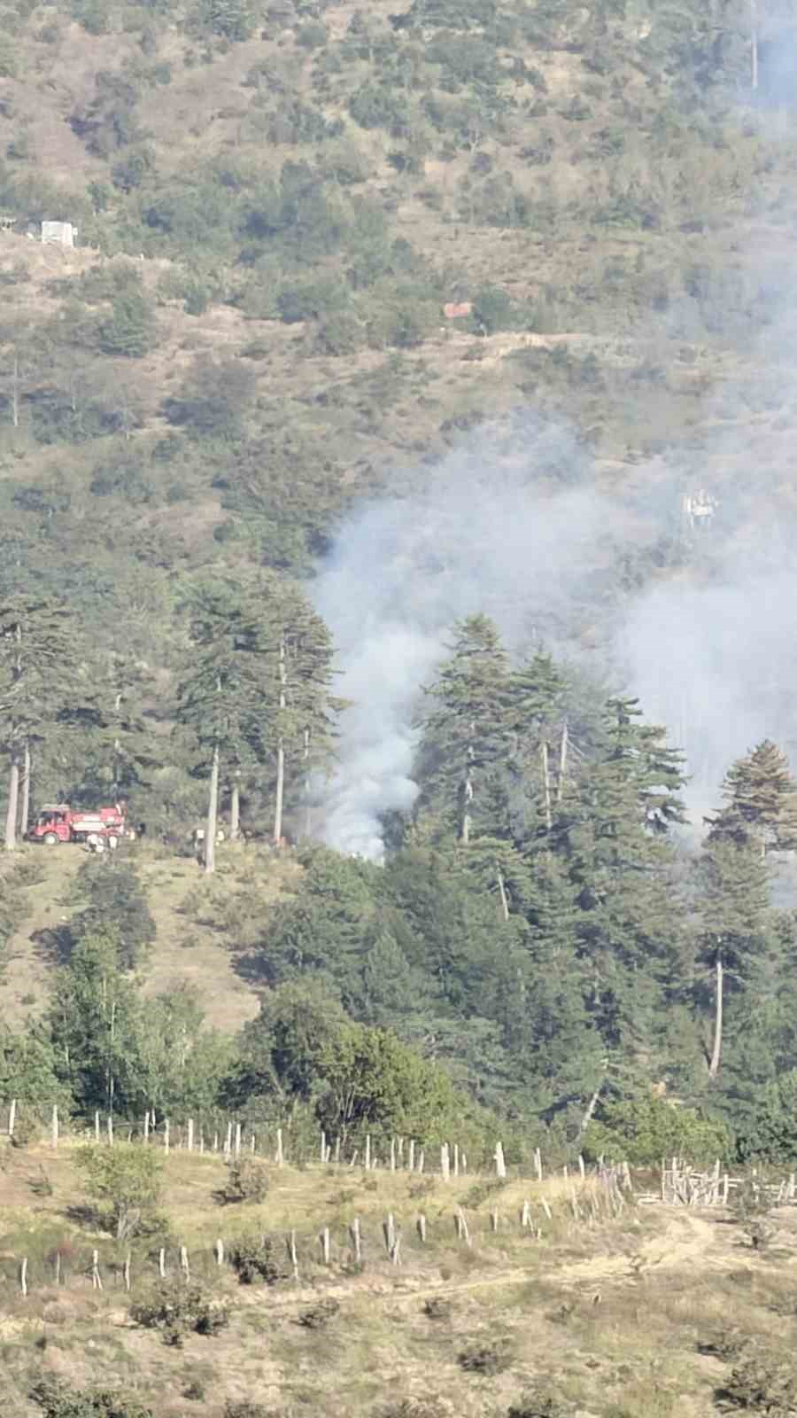Düzce’de orman yangını kısa sürede söndürüldü