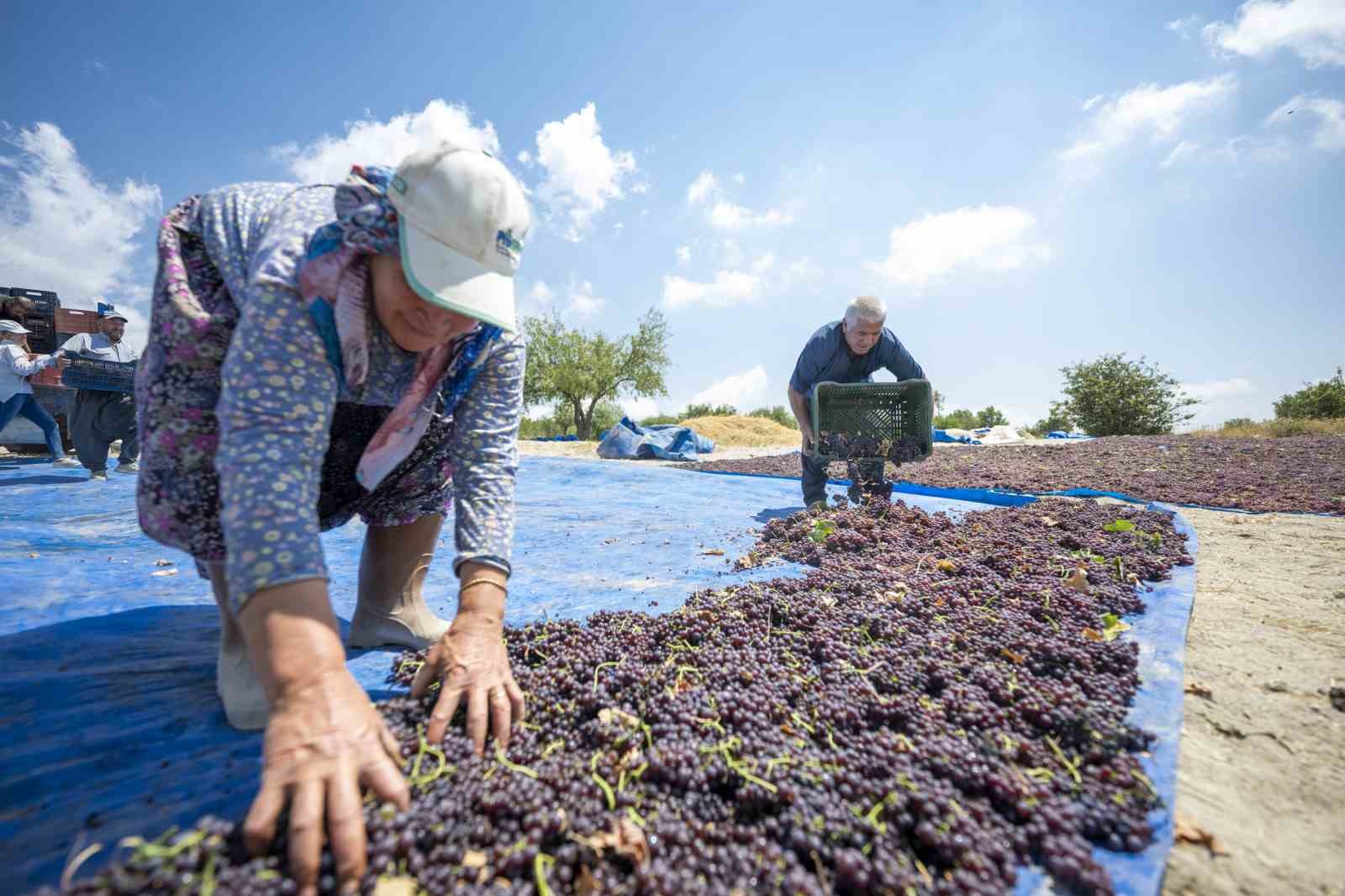 Mersin’in tarımsal değerleri coğrafi işaretle geleceğe taşınıyor