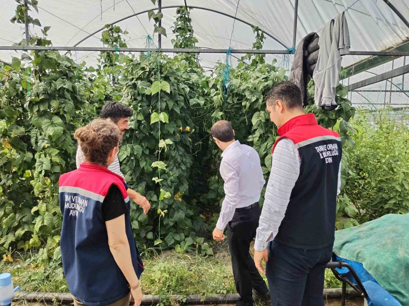 Bozdoğan’da tarımsal üretim sahada değerlendirildi