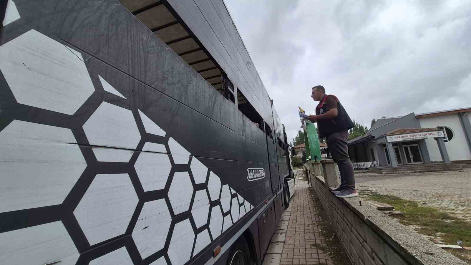 Afyonkarahisar’da hayvan sevklerine yönelik kontroller sürüyor