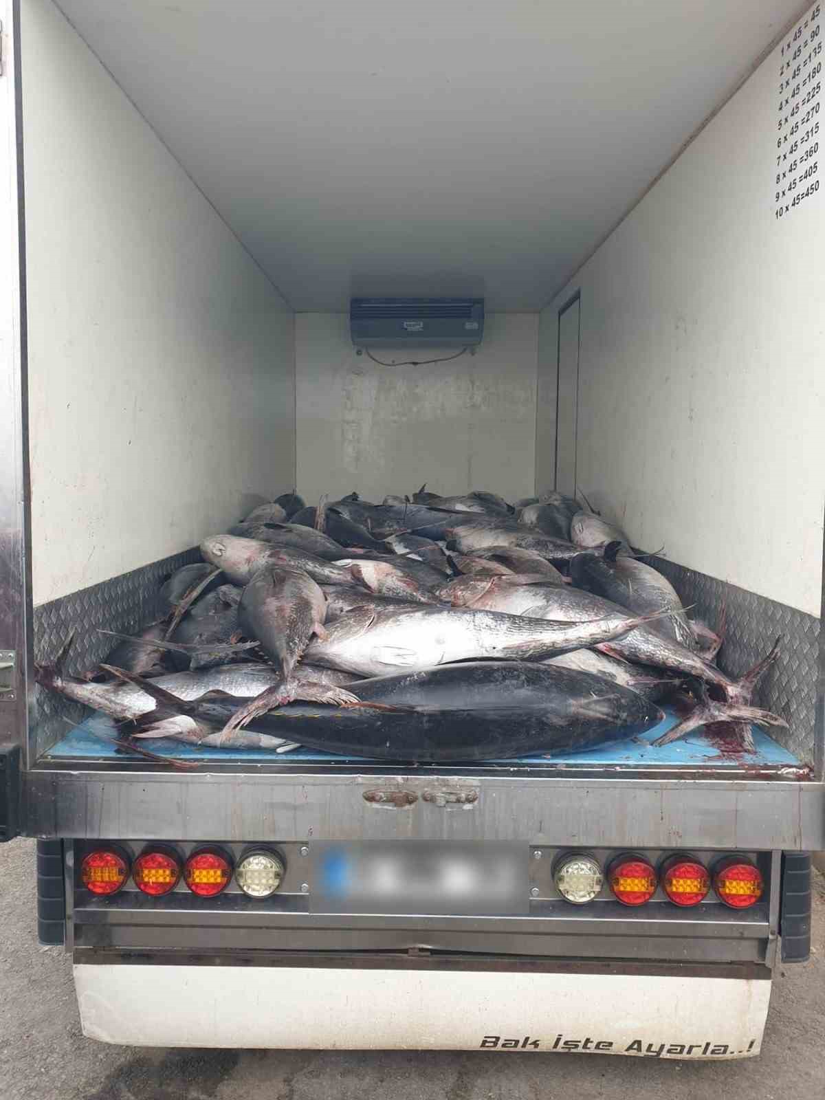 İzmir’de kaçak avlanan 3 ton mavi yüzgeçli orkinos ele geçirildi