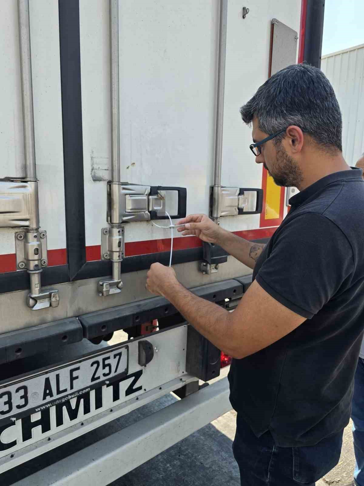 Didim&rsquo;in balıkları, İngiltere yolcusu
