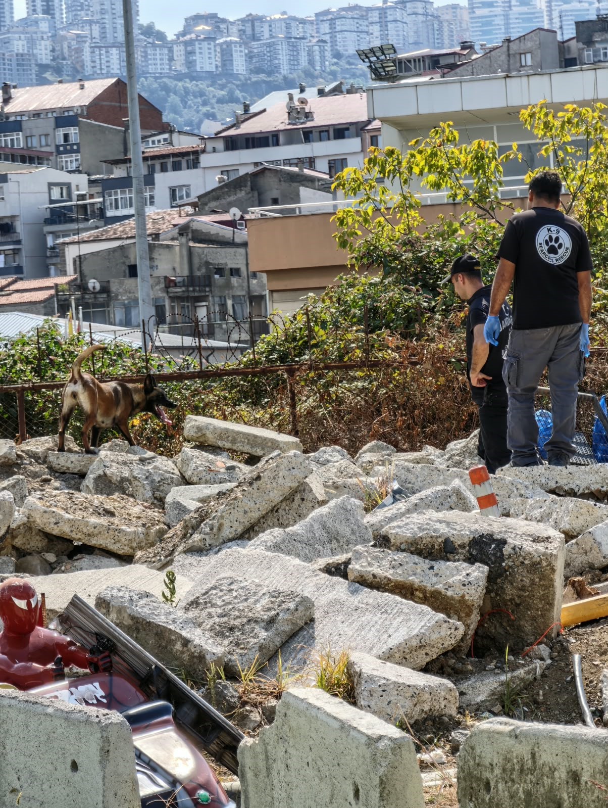 Arama kurtarma köpeklerinin eğitim üssü Trabzon oldu