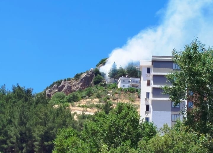 Kahramanmaraş’ta orman yangını