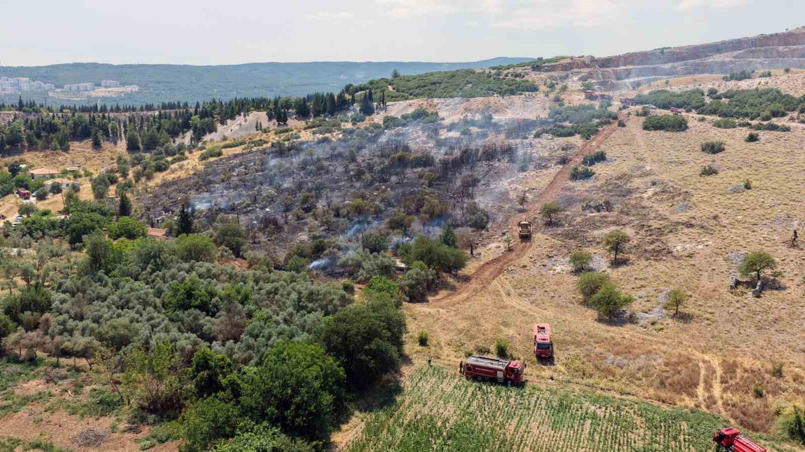 Menteşe’deki makilik yangını kontrol altına alındı