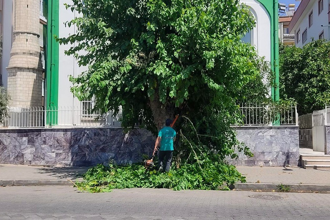 Efeler’de parklar ve yeşil alanlar bakımdan geçiriliyor