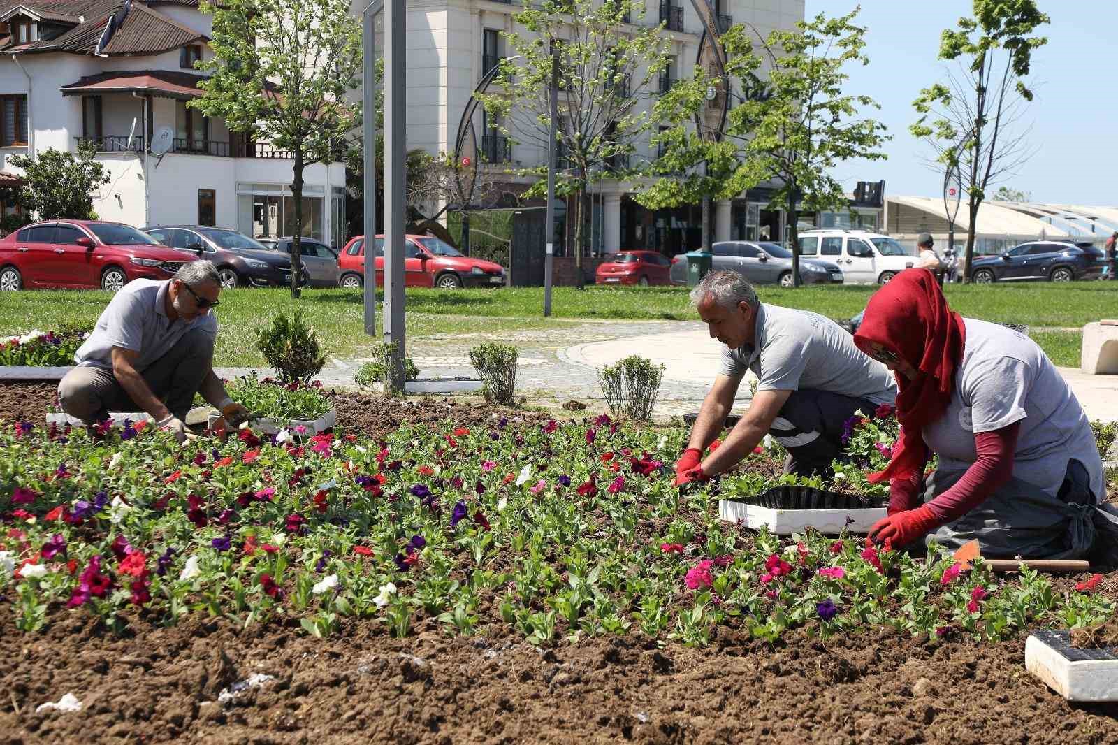 Büyükşehir’in ürettiği çiçekler Ordu’yu renklendiriyor