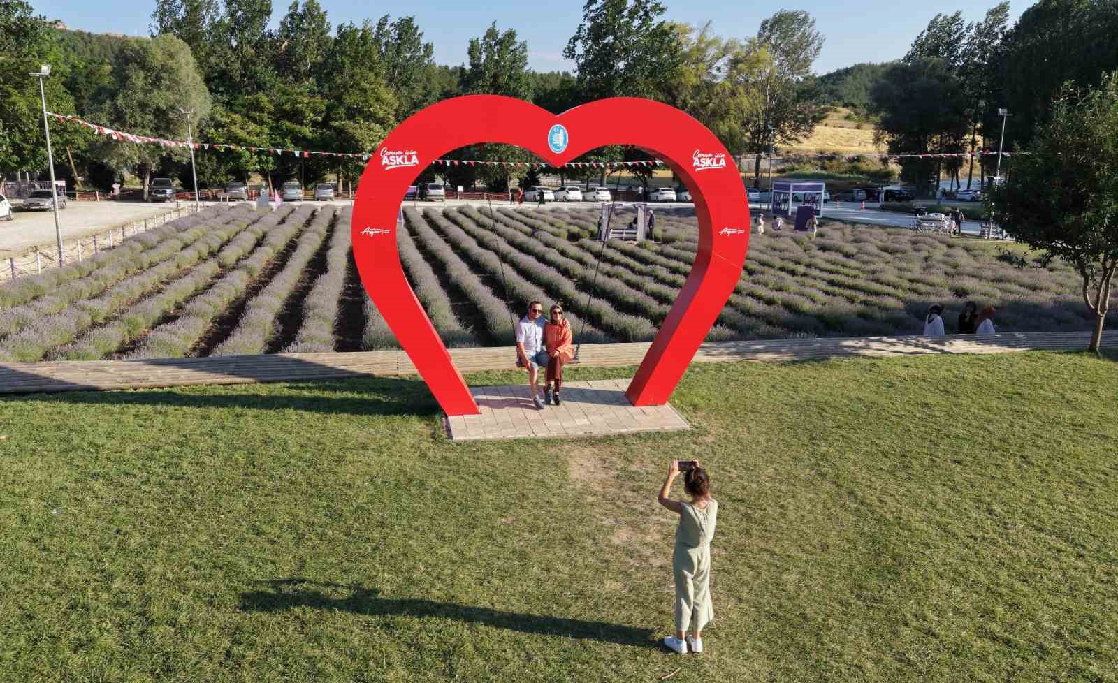 &Ccedil;orum&rsquo;un lavanta bah&ccedil;esi vatandaşların g&ouml;zdesi oldu