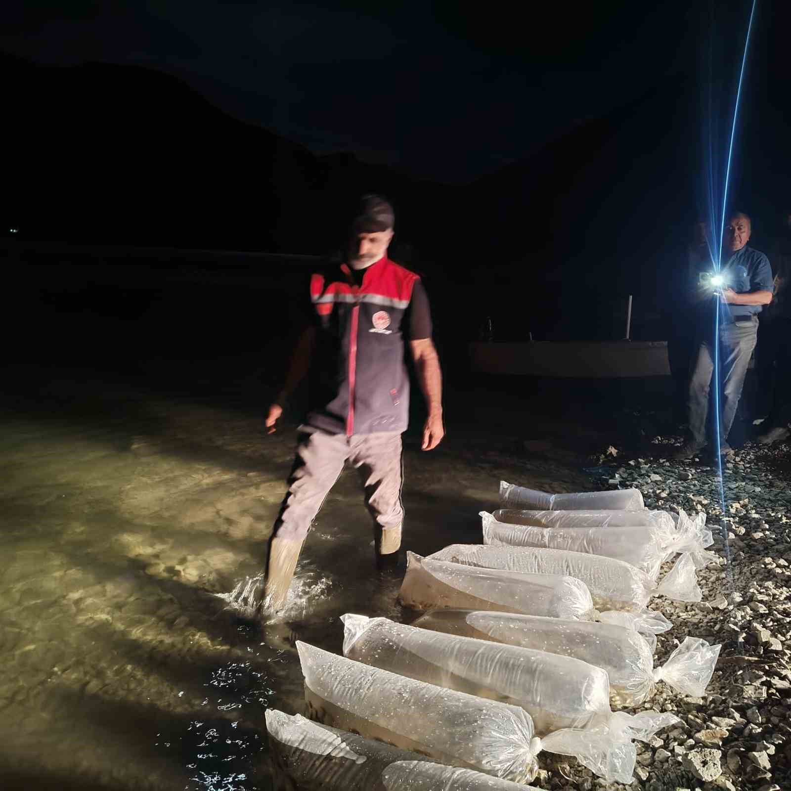 Erzurum’da iç sulara büyük dokunuş: 340 bin yavru sazan suyla buluştu