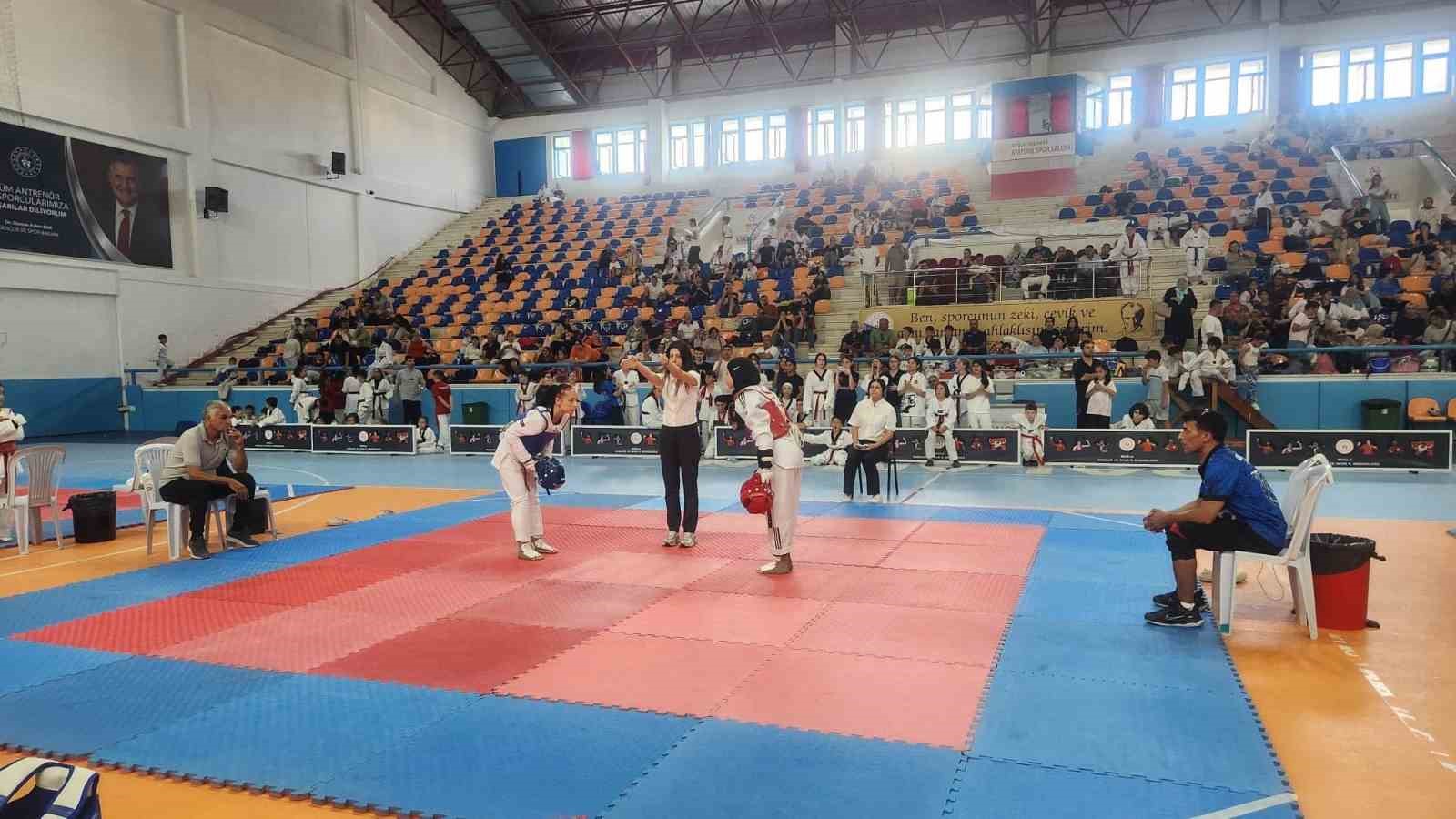 Köyceğizli Taekwondoculardan il seçmelerinde büyük başarı