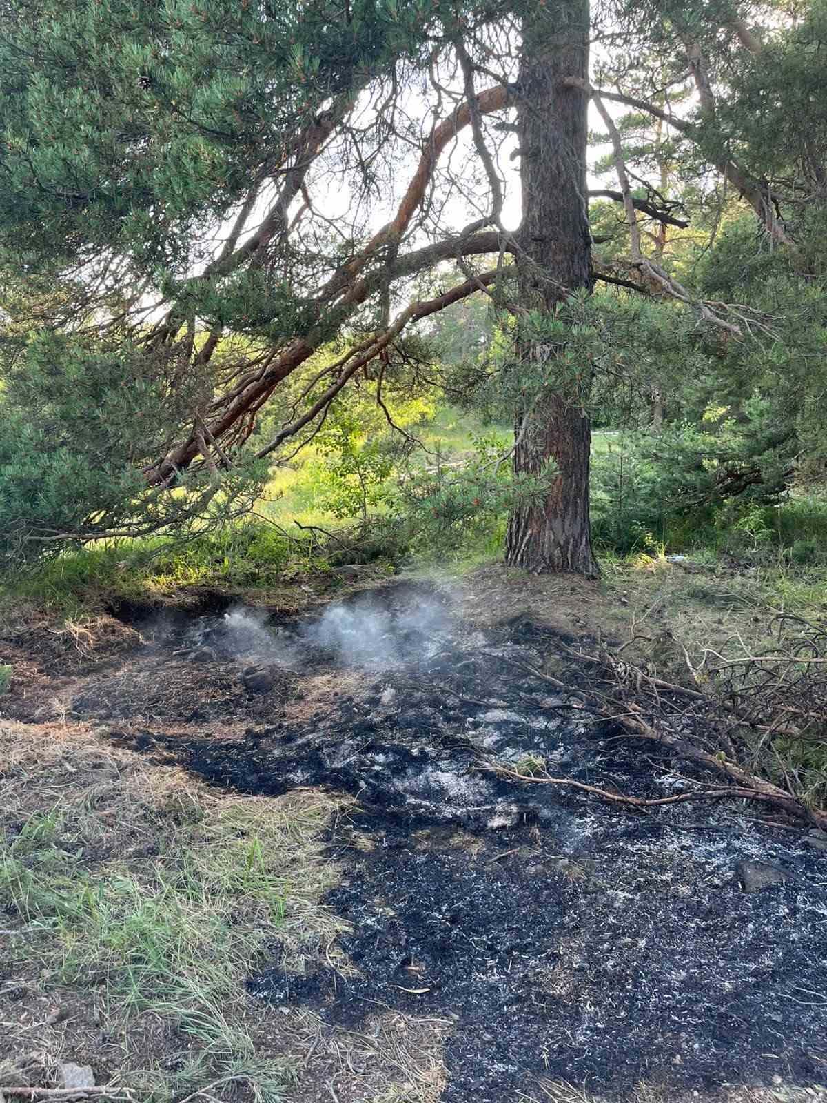 Sarıkamış ormanlarında örtü yangını