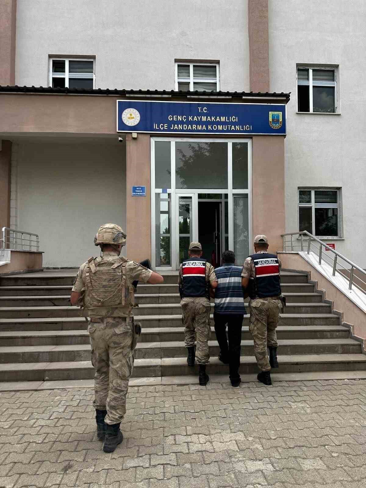 Bingöl’de 19 bin kök kenevir ele geçirildi