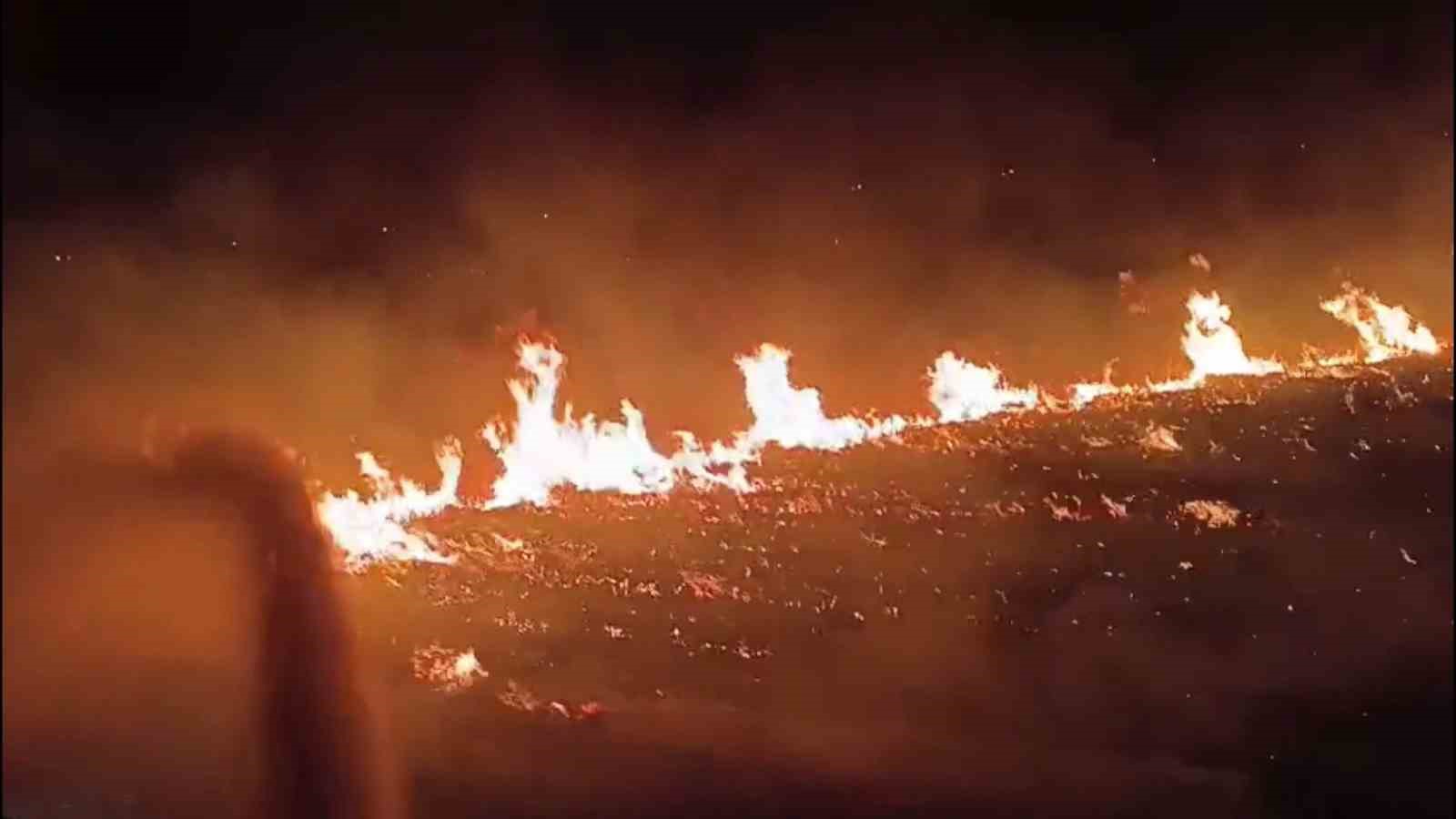 Şırnak’ta çıkan yangında 300 dönümlük alan küle döndü