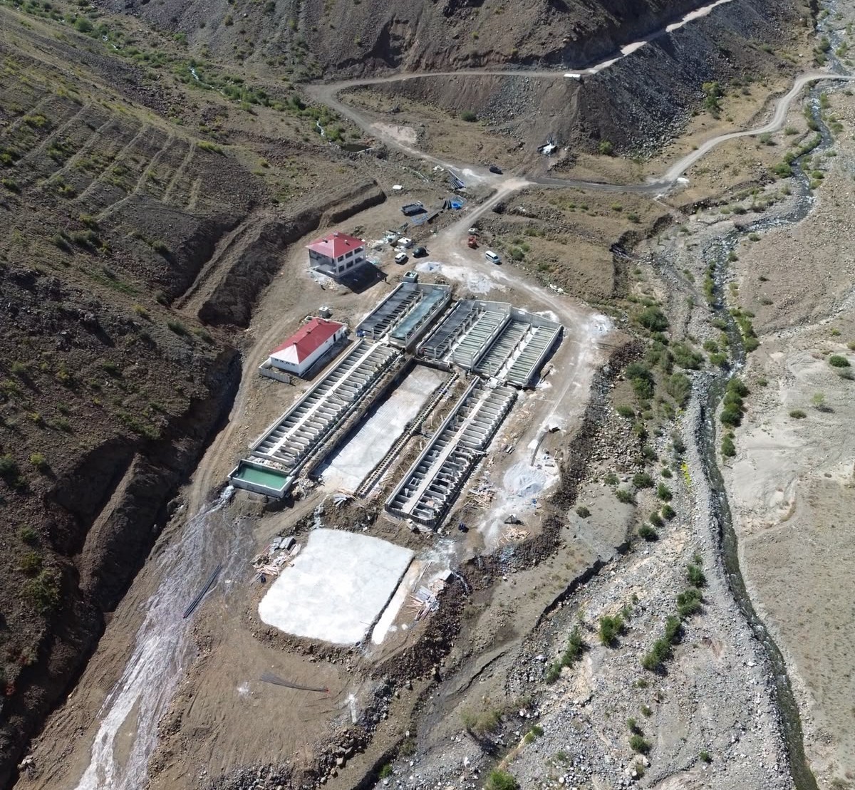 Erzincan’dan 18 ülkeye somon yolculuğu