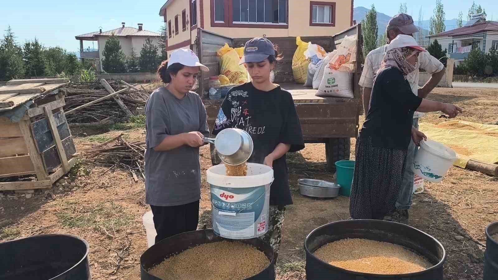 &Uuml;niversite &ouml;ğrencileri yaz tatilinde tarlada ailelerine destek oluyor